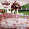Pale Pink Wedding Colour Scheme