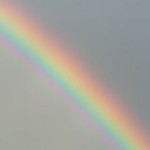Rainbow Rainbow